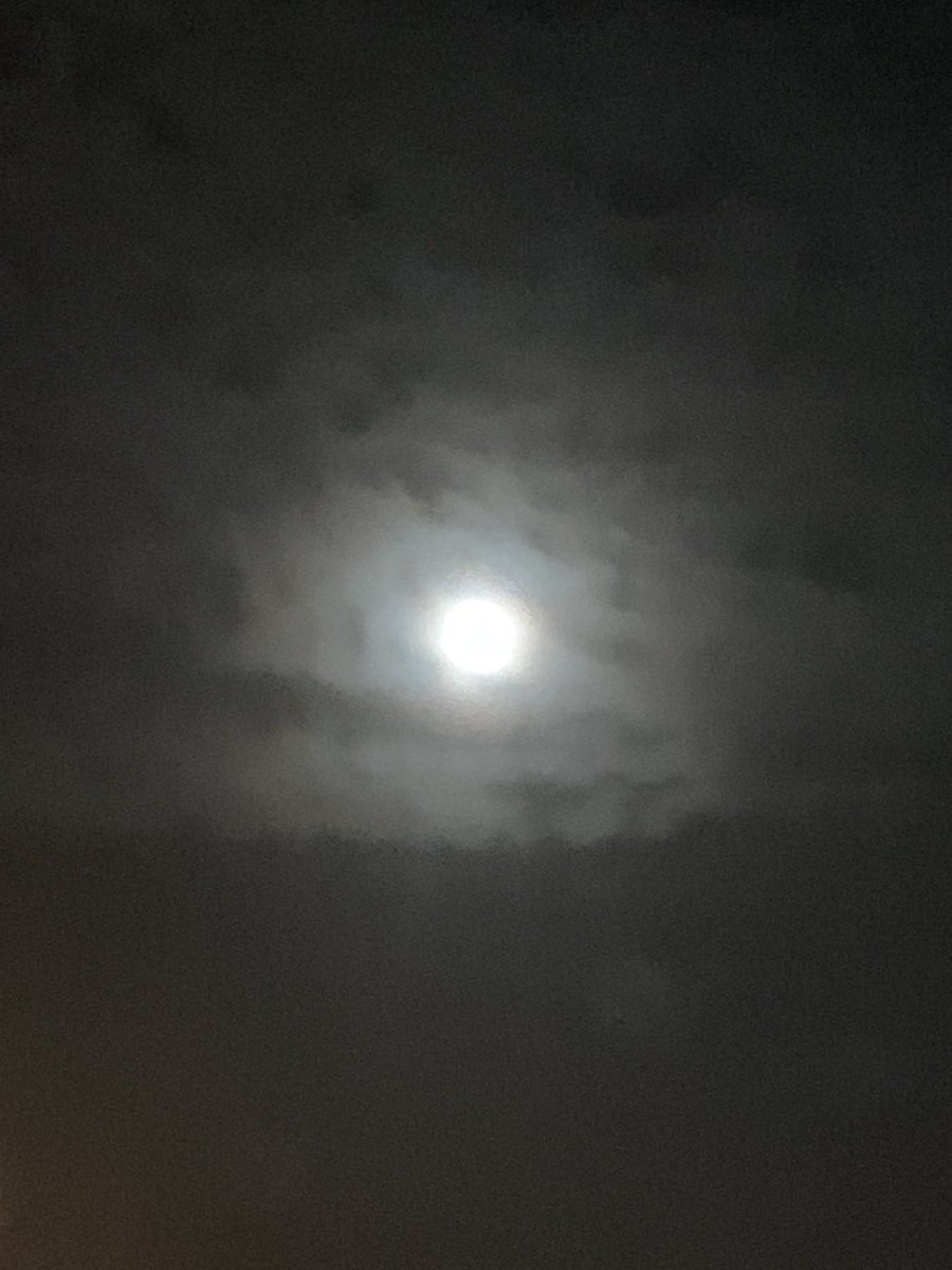 stocks_sports's tweet photo. #pitbull #southbeach #MoonAnimator #moon #Moonsun #MOONSCRIBBLES #MiamiBeach #Florida #TEXAS #twoandfour #13million #moon #be #unique https://t.co/vdmNZY3qT9
