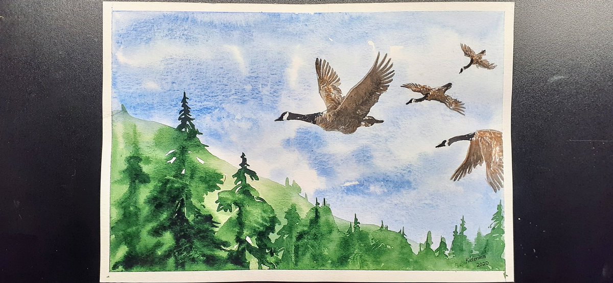 Painted this one because one of the biggest indicators of spring is migrating birds coming back. And since I'm super tired of winter I'm kind of hoping that these canadian geese will bring good weather on their wings... 🍁🏖
#katartrealm #birdart #watercolourbird #watercolorbird