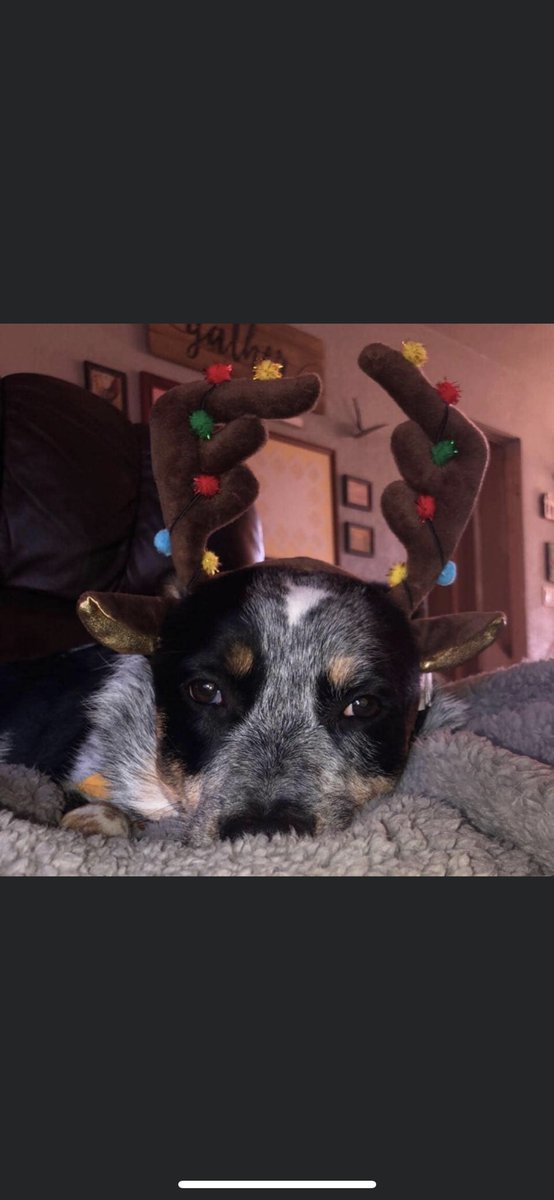 Ethan Quisenberry tweet media