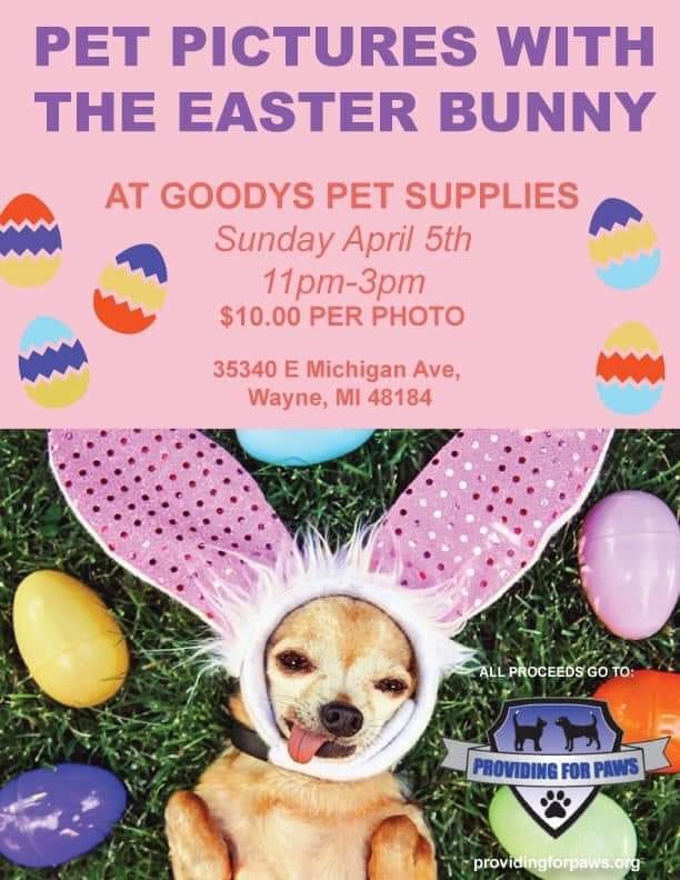 PFPMI's tweet photo. OUR BUNNY ROCKS! Come and get your pets picture with the Easter bunny! All proceeds come to us directly. Thank you Goody’s for helping us put on this event! https://t.co/Lisb57m8ME