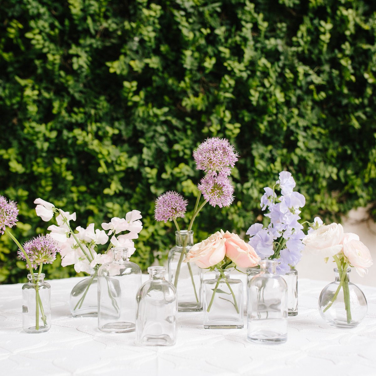 Pressed Cotton tweet media