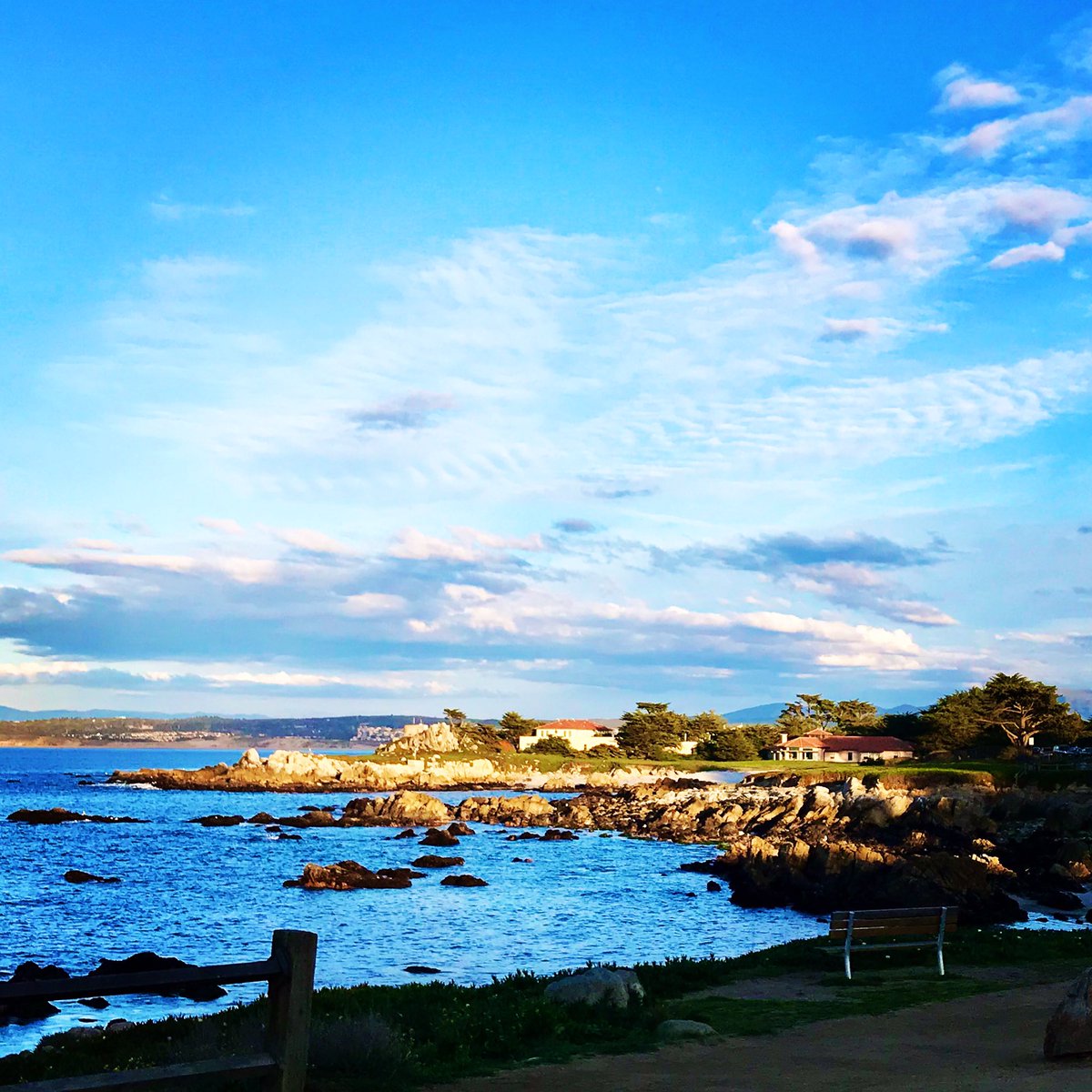 #MakeWavesMB tweet media