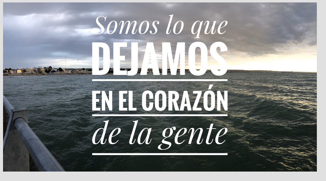 maraleph's tweet image. 