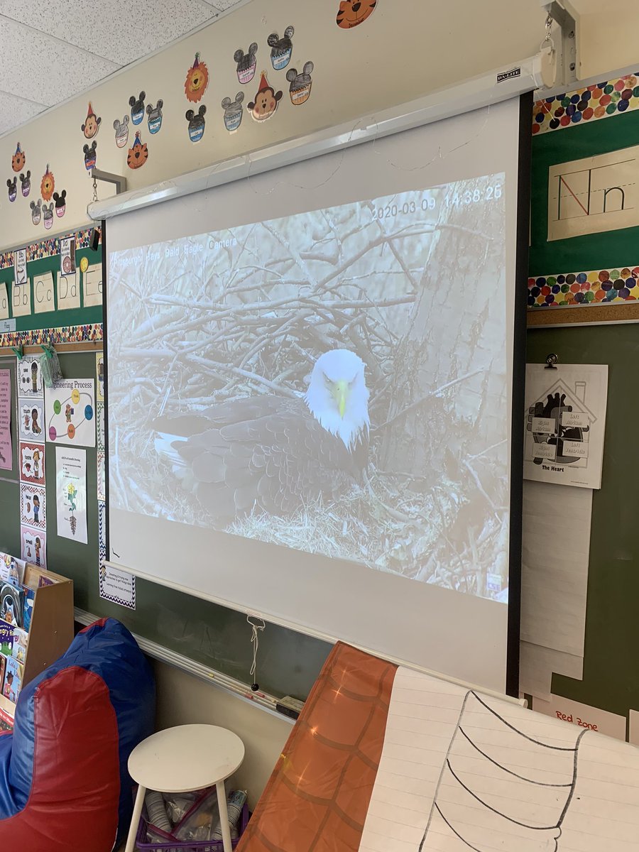 It’s one of my favorite times of the year...the #hayseagles have two eggs! The kiddos were so excited to watch the adults in the nest today! We’ll be keeping an eye on them and studying bald eagles along the way.