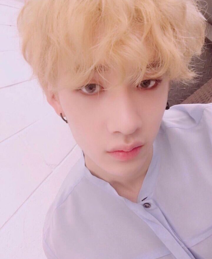 ♡ day 69 of 365 ♡ Chan, my love, I just wanted to remind you today of how beautiful you are. Inside and out. Never let anyone tell you different, okay? I’m happy you have blonde hair again, you’re beautiful in every hair, in every way. I love you. —  @Stray_Kids  #방찬