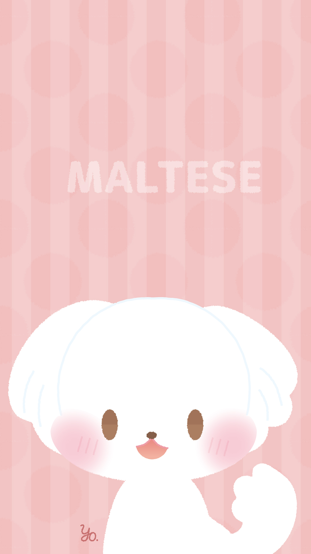 よう マルチーズの壁紙を作ったのでよろしければ個人の範囲でお使いください マルチーズ 壁紙 Maltese Wallpaper Dog
