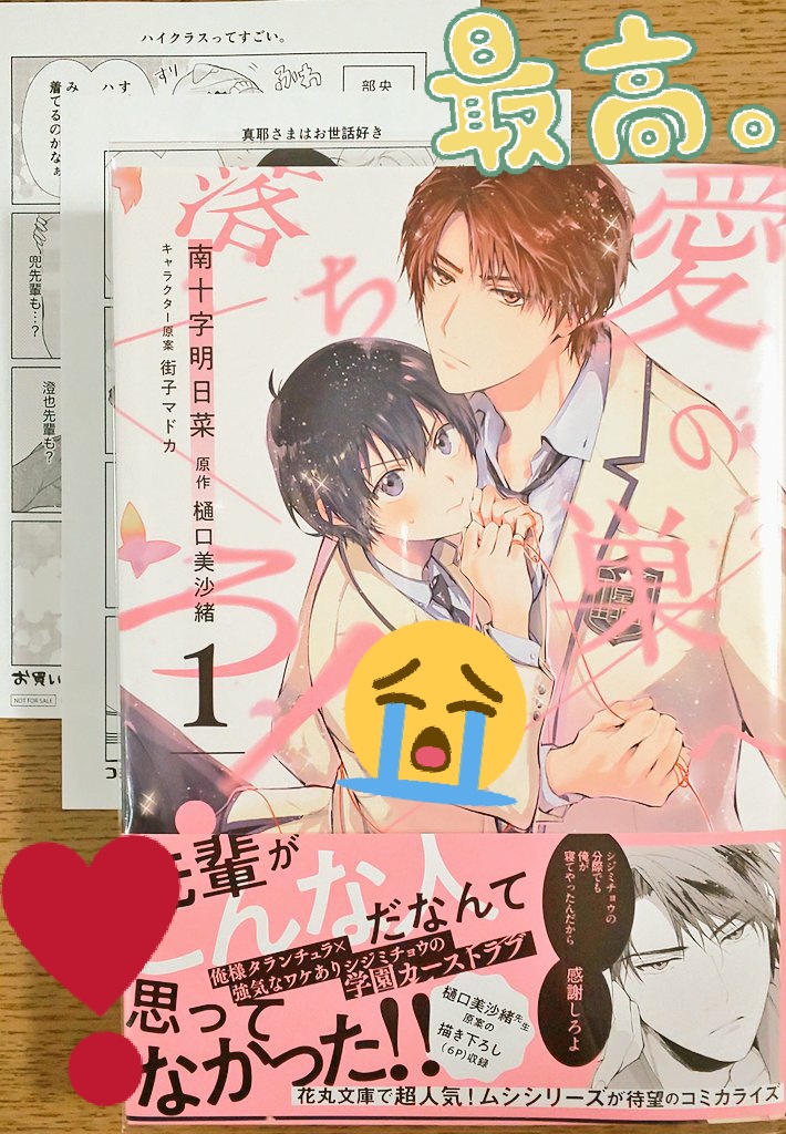 南十字明日菜 南十字明日菜