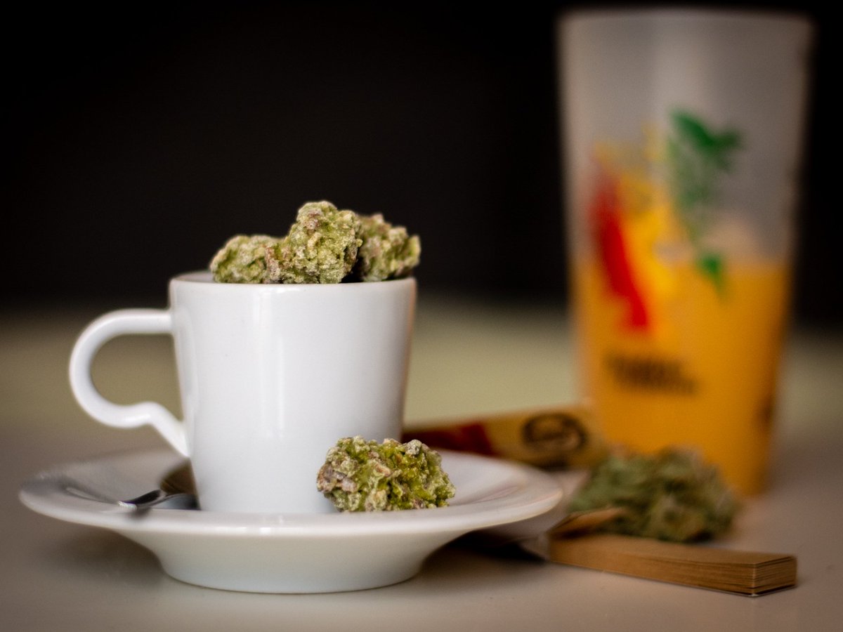 BoxSmonkey's tweet image. Bonne journée les smonkey's ✌️
#relaxitsjustchocolate