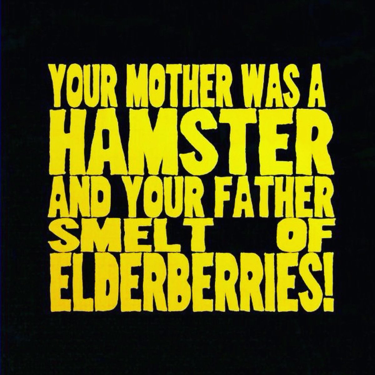Hey you! Not You! You! Book your tickets now for Spamalot from March 20-22nd. Book now. Now! themarttheatre.org.uk #montypython #spamalot #skipton