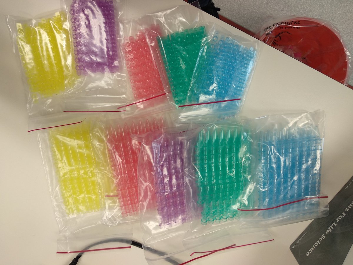 vardilab's tweet photo. Another way to celebrate and support inclusion in the lab. Gay friendly PCR tubes 😘 #sciencepride https://t.co/PfoIa2sMCF