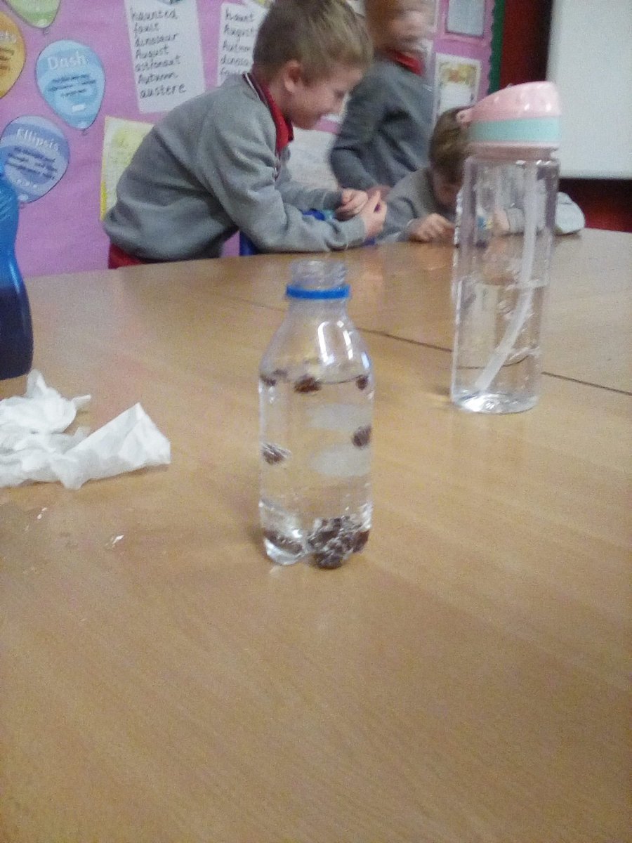 stcadocsprimary's tweet photo. Today, in P3a, we investigated the effect of carbon dioxide bubbles on raisins. They began to dance! #STEMweek2020 https://t.co/FWW1rMpplJ