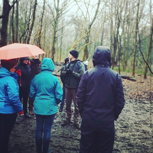 BegijnLeBleu's tweet photo. Vogelwandelingen in de gutsende regen #ikkanda Toch maar mooi 10 kwetterende sijzen gezien in de elzen. Los in de broek. #oudelanden https://t.co/wWJvgQsEPq