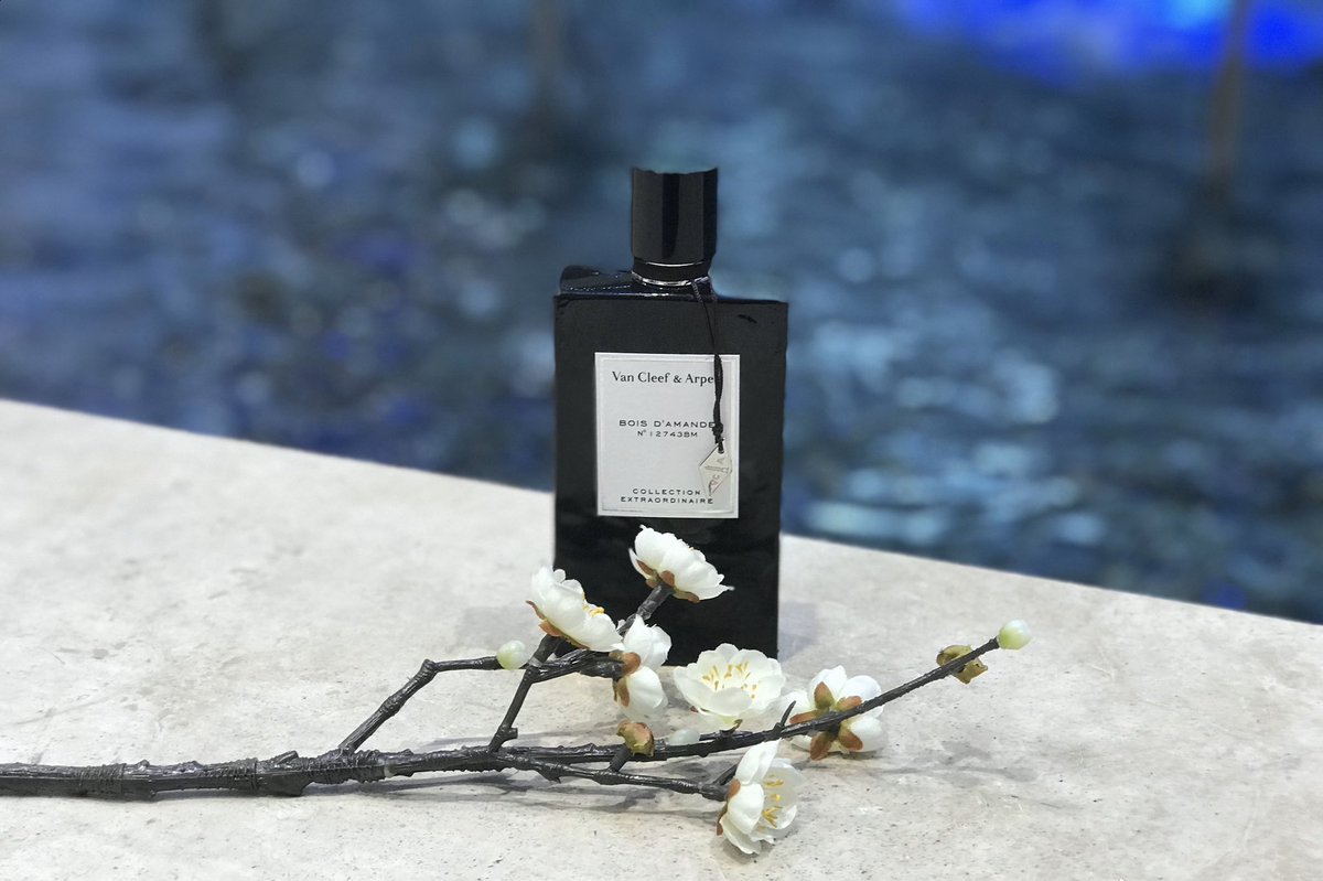 بوا دي اماندي من فان كليف•اصدار ٢٠٢٠• للجنسين
التركيز : او دو بارفيوم
الحجم : ٧٥مل
السعر : ٤٢﷼ عماني ــ ٤٢٠﷼ سعودي
لباقي التفاصيل يرجى زيارة الرابط: instagram.com/p/B9i7z4fD-Mr/…
#رابطة_عشاق_العطور