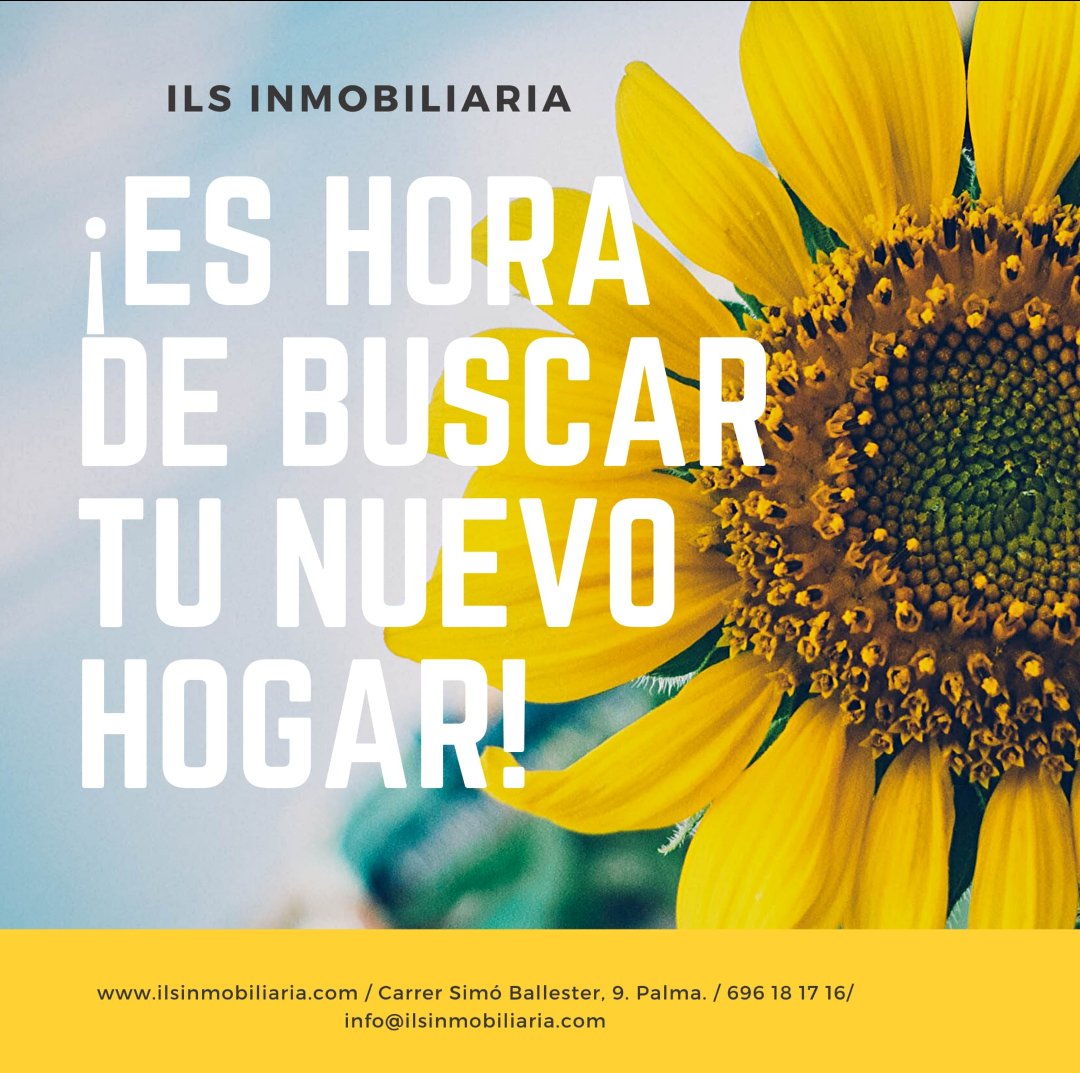 IlsInmobiliaria's tweet photo. @Vimuam @IlsInmobiliaria #ilsinmobiliaria https://t.co/MesiE892PU
