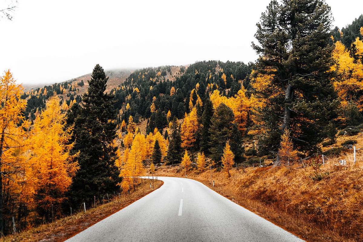 picjumbo's tweet photo. NEW PHOTO by Viktor Hanacek! Beautiful Autumn Roads in The Mountains - free download: https://t.co/dh8omg0vsT #freephotos (hit Retweet if you like it!) https://t.co/SXXNtIyKrp