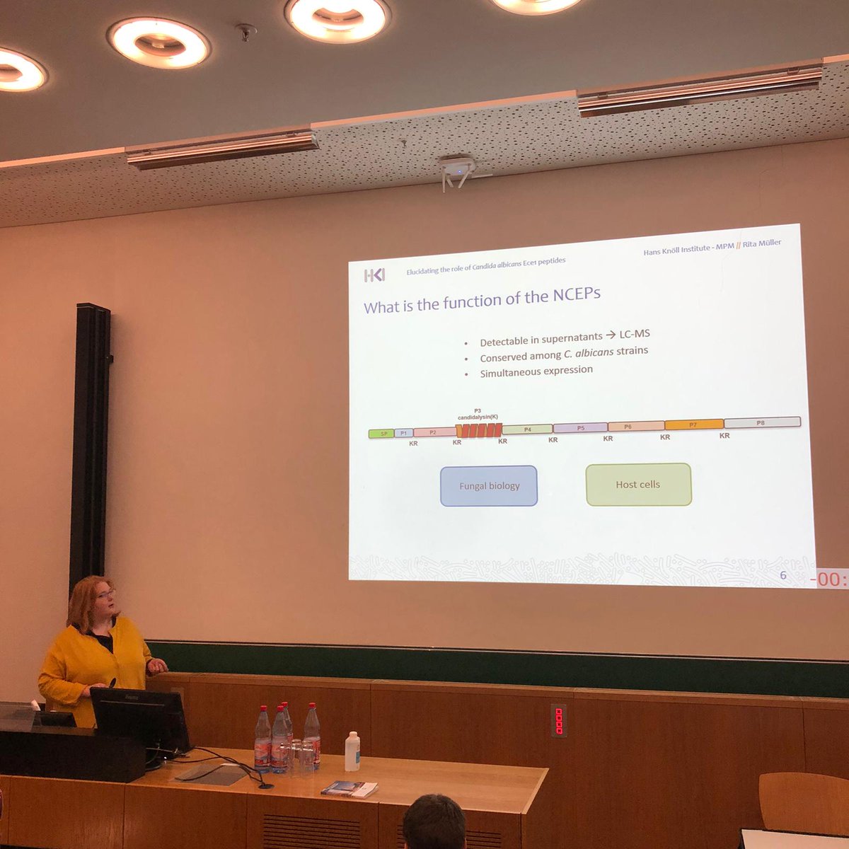 mpm_hki's tweet image. #candidalysin is indeed crucial for host cell damage, but what are the other Ece1 peptides doing? Rita showed her latest data on their role in fungal biology and host interaction at #DGHMVAAM20 in Leipzig