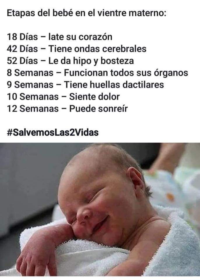 BettyisProLife's tweet photo. #YoNoParo por que ellos valen todo, la #MujerEsVida #TodaVidaVale https://t.co/rMyo8YKfR0