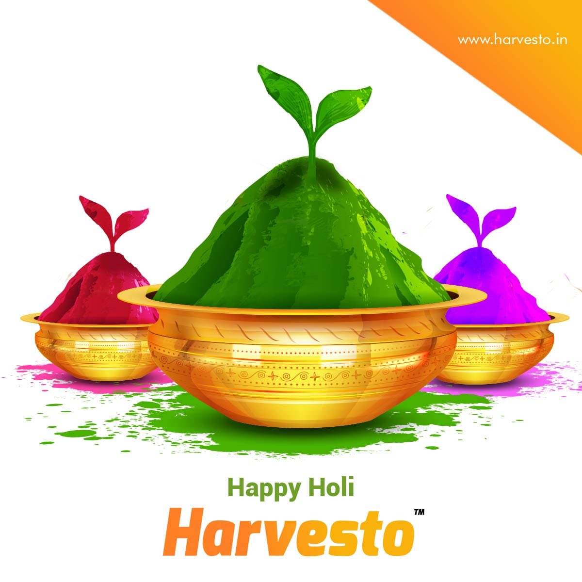 HarvestoGroup's tweet photo. Harvesto की तरफ से आपको और आपके परिवार को होली की हार्दिक शुभकामनाएं। 

आशा है की होली की तरह आपके जीवन में भी बहुत सारे रंग और खुशियां आएं। 😄🇮🇳

Happy Holi 😄 https://t.co/2HIUWPJg4R