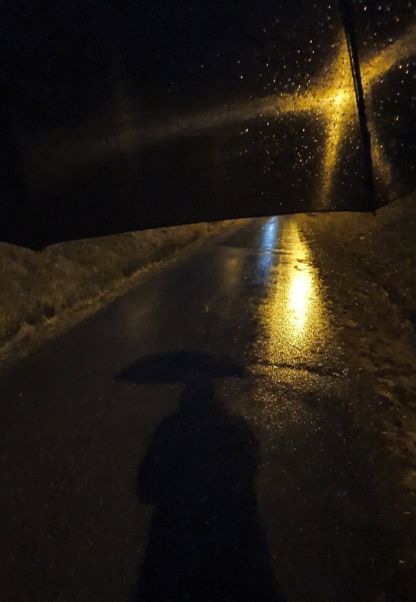 sakariala's tweet photo. Maaliskuu, tai helmikuu, tai tammikuu - ihan samaa #sadetta aamusta toiseen. #lumetontalvi #sulamaa https://t.co/CeASYIjS9U