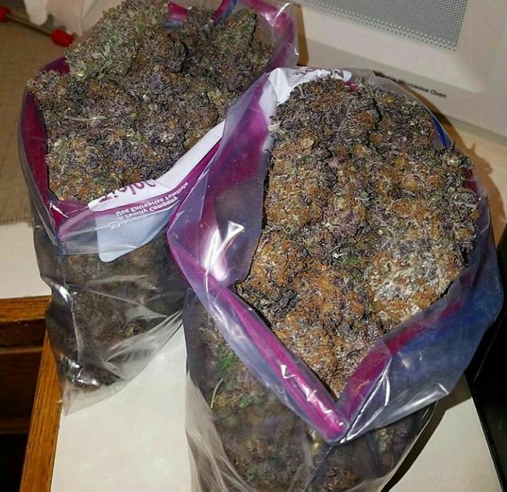 Pablo90Weed's tweet photo. Livraison à domicile 
Wickr//Weedparis123 
Inbox via Whatsapp 
👉 +33752308699
Snap// : weed_France19
#france420 #visitparis #follow #ukinfrance #420 #tofrance #parishotel #germaninfrance #francehotel #cokefrance #weed #parisweed #montmartre #help #france #usainfrance #dank https://t.co/tEWJPwaIVI