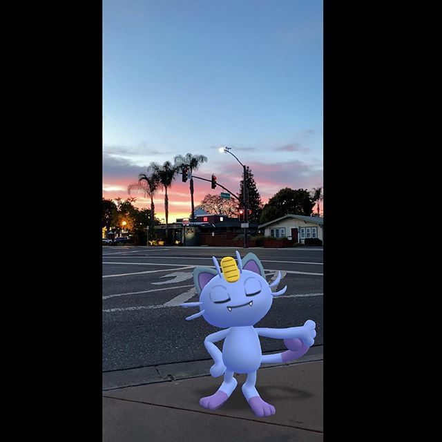 spindaround's tweet photo. ready for a night on the town. #pokemongo #pokemongoarplus #gosnapshot #meowth #alolanmeowth #shinyalolanmeowth #shinypokemon #ztdnews https://t.co/fVf2vl6lhN https://t.co/Oywh6ZDG0V