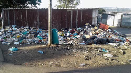 AdvoBarryRoux's tweet photo. Mthatha town has gone to the dogs. https://t.co/ZKQZqauWss