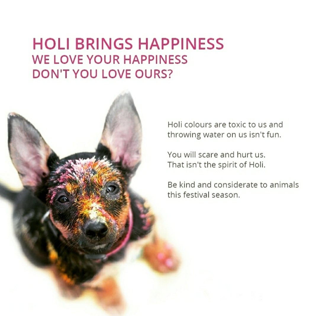 Be considerate and kind towards #dogs #animals #DogLove  #PlaySafeHoli #Holi #HoliFestival