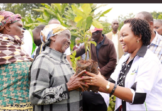 Muthonijoy2018's tweet photo. Kirinyaga county, through the transparent and diligent leadership of HE Anne Waiguru has been rated 4th best performing county in Kenya. Agricultural development is evident. Congratulations madam governor, our Mt. Kenya Region Leader. #CountiesScorecard https://t.co/htjB392X8T