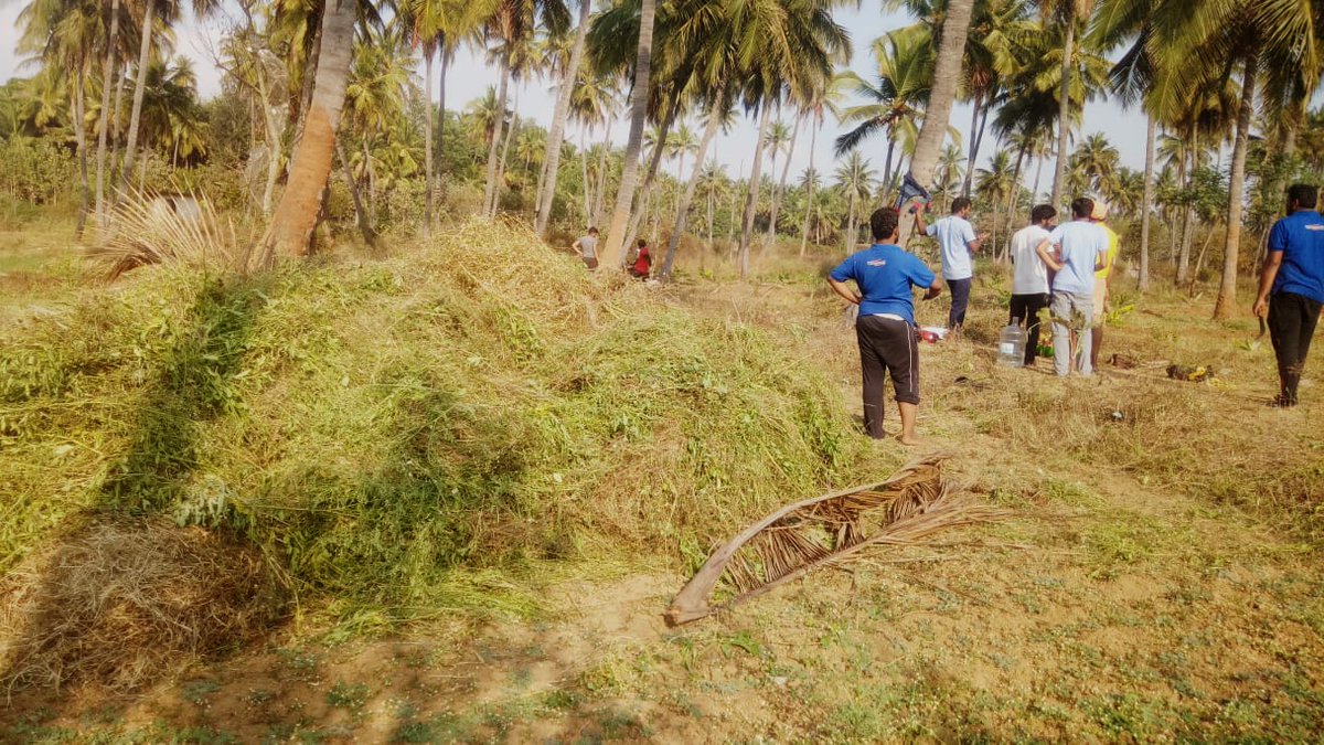 yuva_brigade's tweet photo. #YuvaFarm
#YuvaBrigade
Yuva Brigade volunteers involved in farming activity at Yuva Farm located in Bengaluru Rural. https://t.co/6wD6wg5Nm8