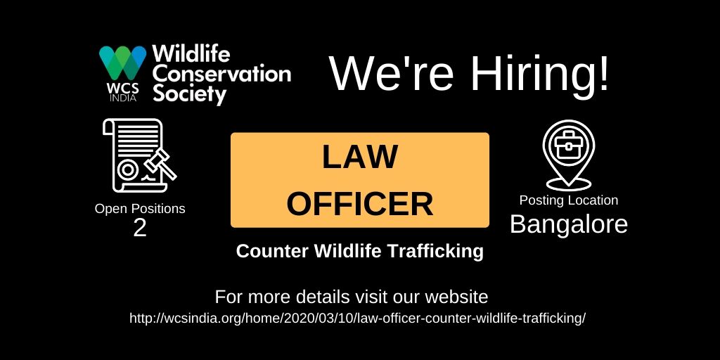 WCSIndia's tweet photo. #JOB We are looking for Law Officers for our Counter Wildlife Trafficking program. Click below to learn more and apply.
https://t.co/55xnnjO2Sn https://t.co/bVDU8j6wEZ