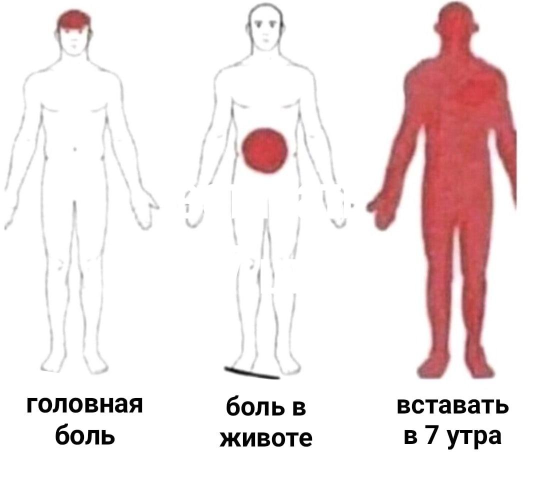 ESuc8f2XkAAbDFB?format=jpg&name=medium