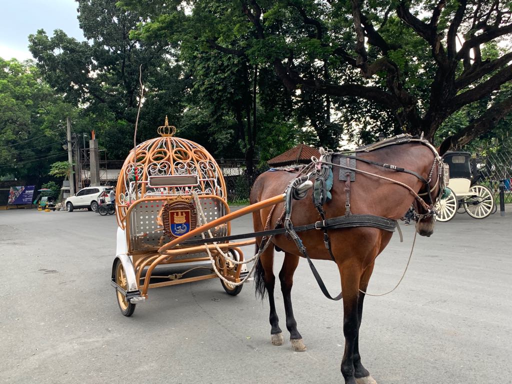 castillantour's tweet photo. Cinderella Carriage, a 6 seater capacity with 1 unit available. Good for Debuts, Weddings, Displays, Pictorial and Impressive Events. Aboard with us at @castillantour.

Like and Share us on https://t.co/DZVqPk1Wzc

#cinderellacarriage https://t.co/hxessYx5lB