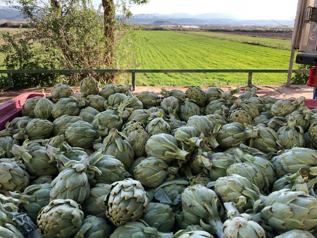 Victofer1922's tweet photo. Empieza una de las #temporadas que más nos gusta en #Victofer. ¡La de #alcachofa en #conserva!
¡Salud!.
—-
#productosdetemporada #alimentación #comerciolocal #conservasartesanas #delicatessen #gourmet #cocina #gastronomía #VitoriaGasteiz https://t.co/aT4sqUGgt5