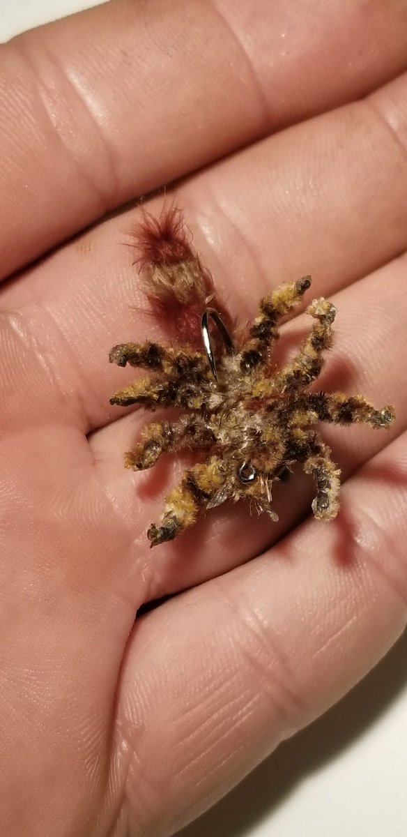 TFlytying's tweet photo. https://t.co/IiVC9g5cPj
