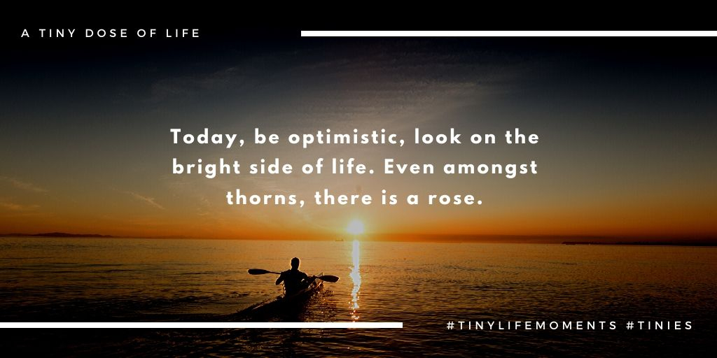 keno_ogbo's tweet photo. Today, be optimistic. look on the bright side of life #starttheday #5amwritersclub #wakeup #goodmorning #sunrise #moveforward #positivevibes #positivity #focus #mentalhealth #mindfulness #everymindmatters #tinies #tinydoses #tinylifemoments https://t.co/zfYaRUubHB