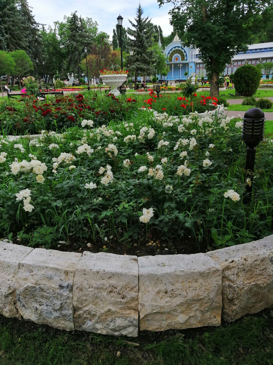 dct1ZXyPRpojITQ's tweet image. 