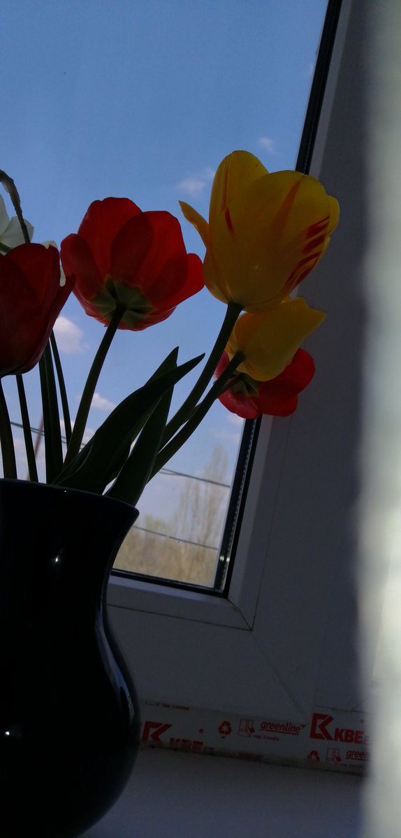 dct1ZXyPRpojITQ's tweet image. Обожаю природу