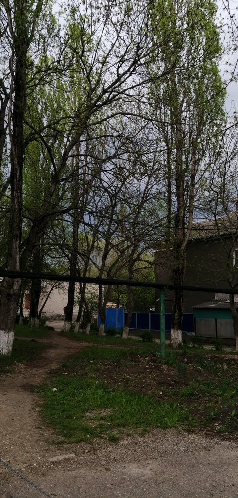 dct1ZXyPRpojITQ's tweet image. 