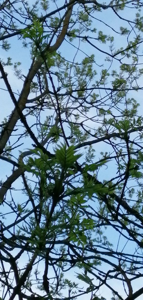 dct1ZXyPRpojITQ's tweet image. 