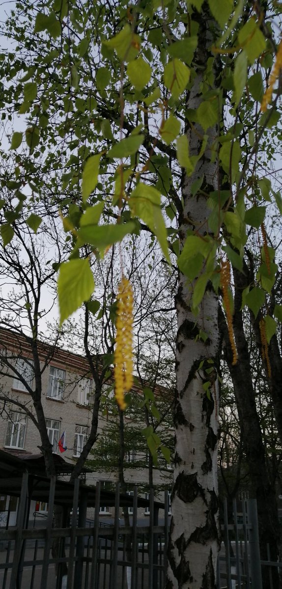 dct1ZXyPRpojITQ's tweet image. Обожаю природу