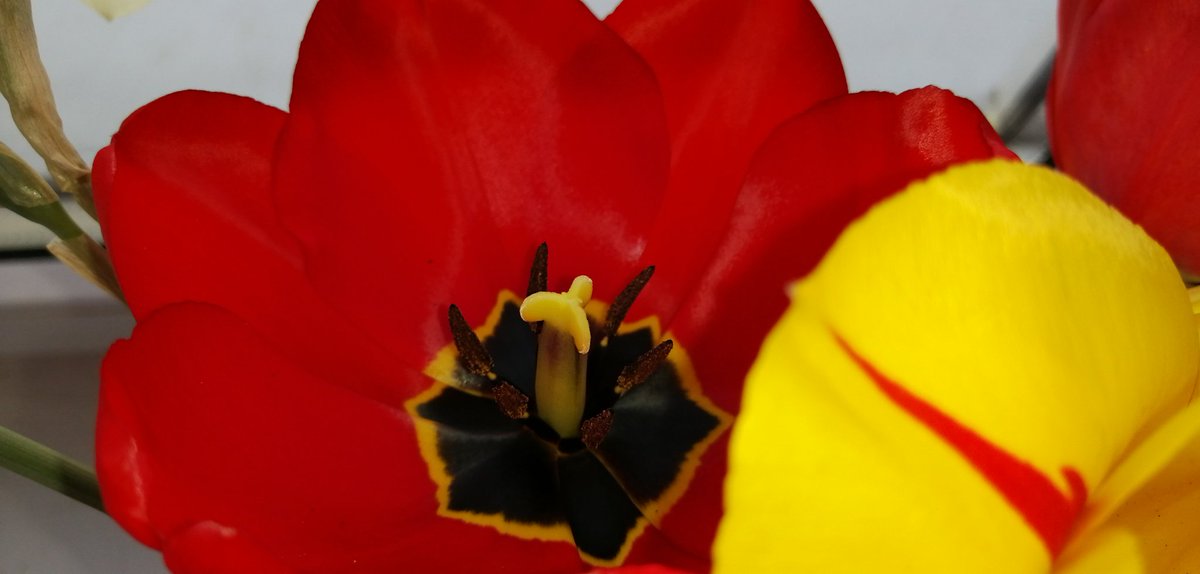 dct1ZXyPRpojITQ's tweet image. 