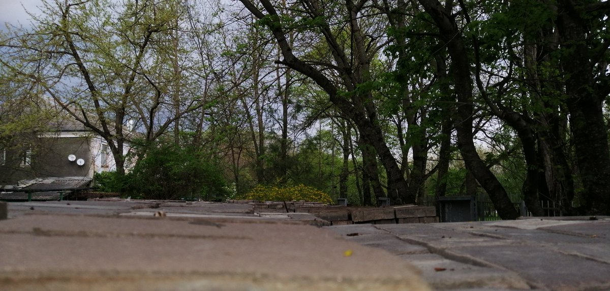 dct1ZXyPRpojITQ's tweet image. 