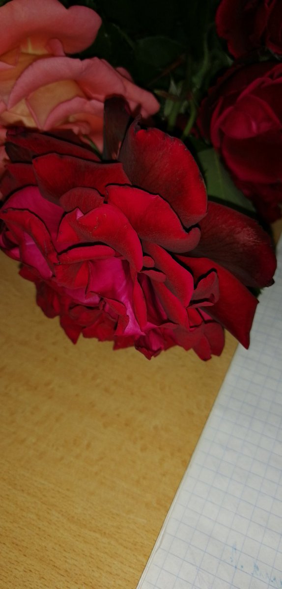 dct1ZXyPRpojITQ's tweet image. 