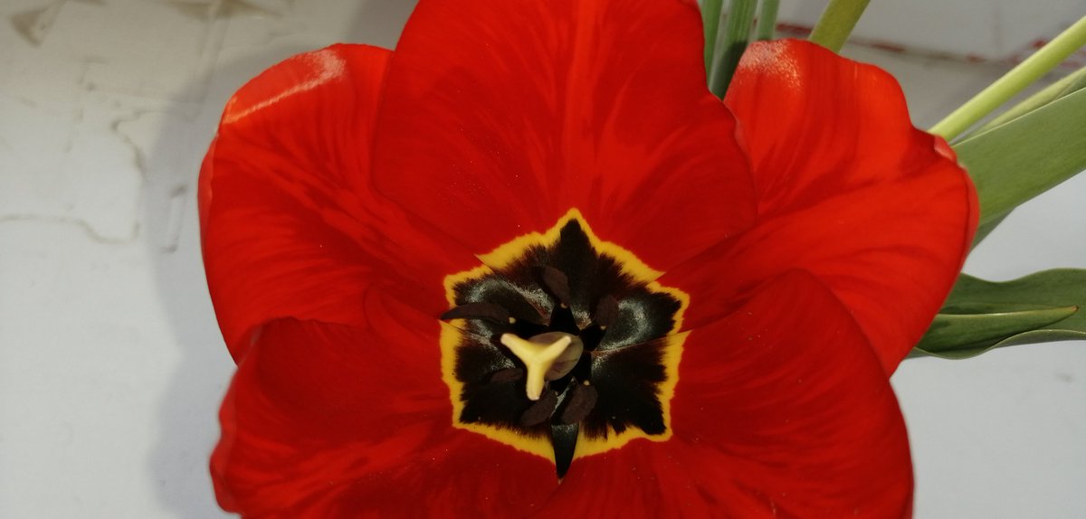 dct1ZXyPRpojITQ's tweet image. 