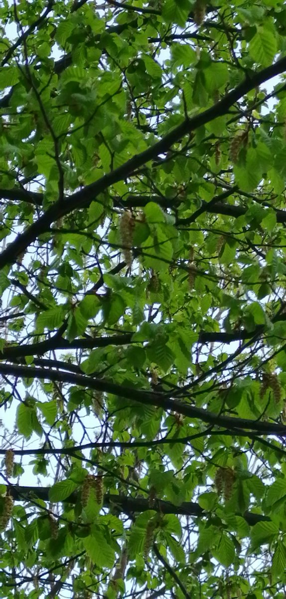 dct1ZXyPRpojITQ's tweet image. 