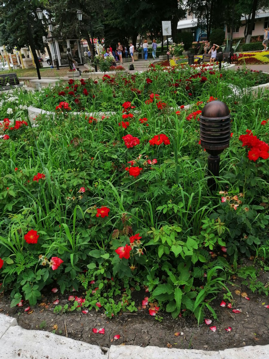 dct1ZXyPRpojITQ's tweet image. 