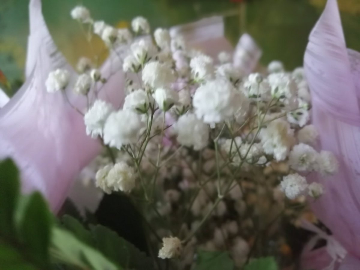 dct1ZXyPRpojITQ's tweet image. 