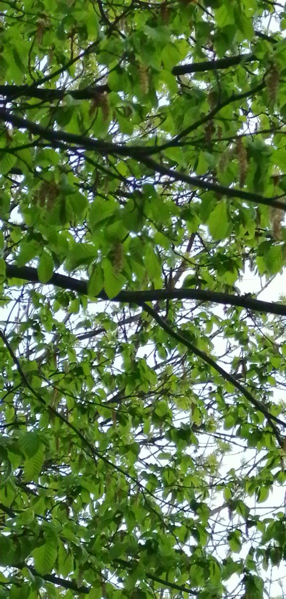 dct1ZXyPRpojITQ's tweet image. 