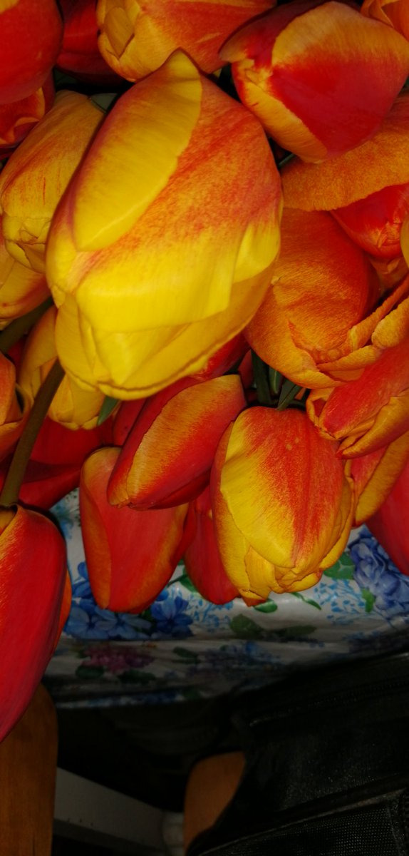 dct1ZXyPRpojITQ's tweet image. Обожаю природу