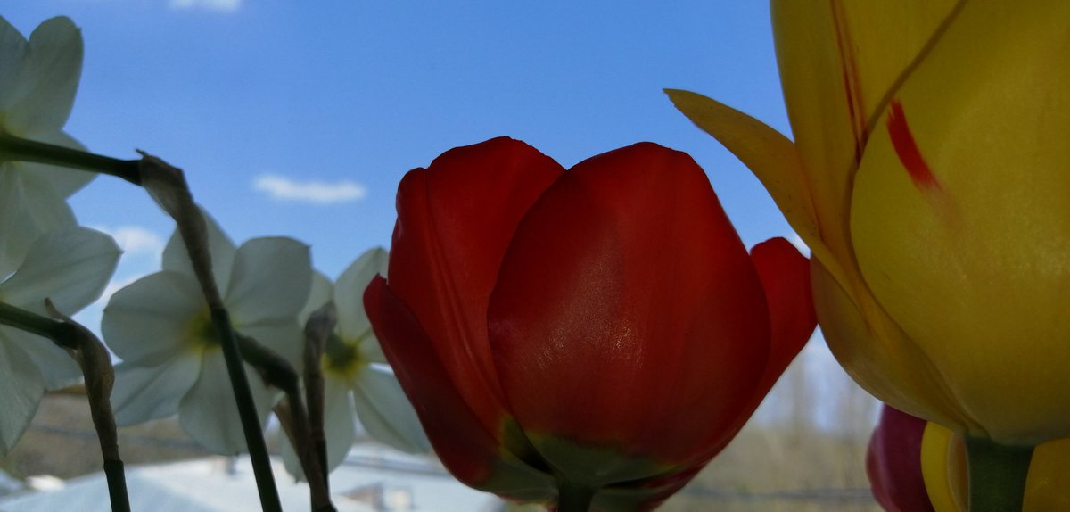 dct1ZXyPRpojITQ's tweet image. 